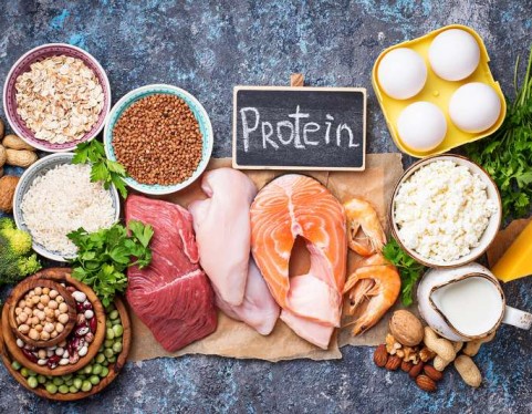 Proteine “vegetali” e proteine “animali”?