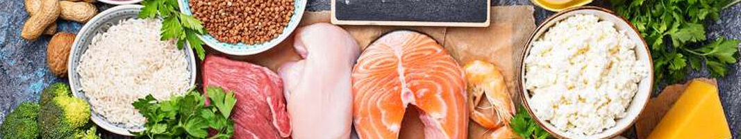 Proteine vegetali e proteine animali scopri le differenze