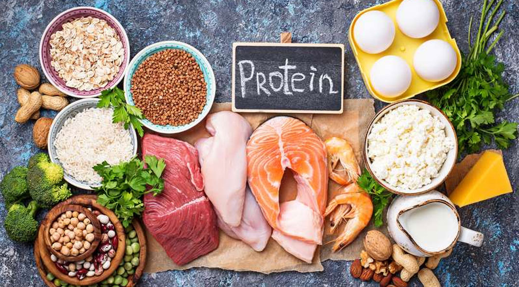 Proteine vegetali e proteine animali scopri le differenze