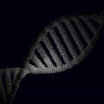 Rappresentazione del DNA e adattamento metabolico cellulare - Dott. Girone Nutrizionista Messina