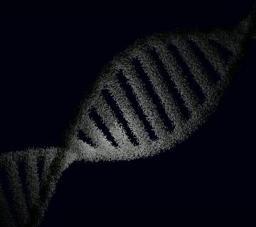 Rappresentazione del DNA e adattamento metabolico cellulare - Dott. Girone Nutrizionista Messina
