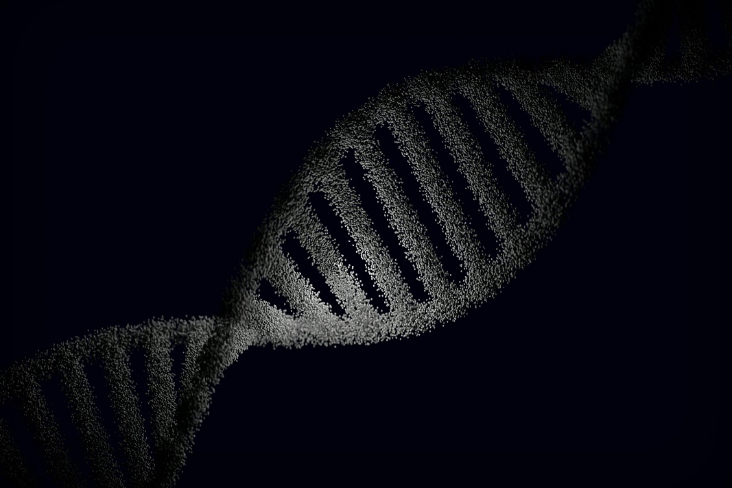Rappresentazione del DNA e adattamento metabolico cellulare - Dott. Girone Nutrizionista Messina